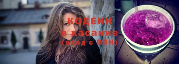 твердый Заводоуковск