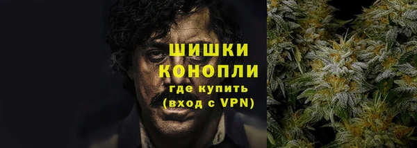 ПСИЛОЦИБИНОВЫЕ ГРИБЫ Заволжск