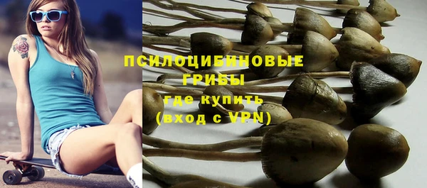 твердый Заводоуковск